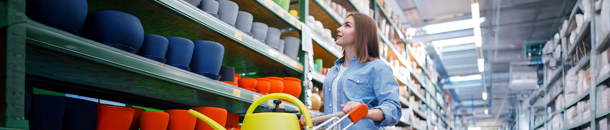 Home and Home-Improvement Shopping in Focus; Financial Sentiment Turns Negative: US Consumer Survey Insights