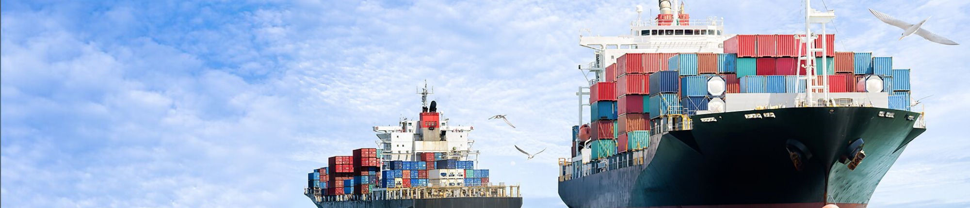 Freeze, Flight or Fight? How Retailers Can Strategically Navigate Tariff Turmoil